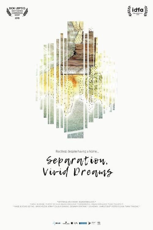 Poster for Separation, Vivid Dreams