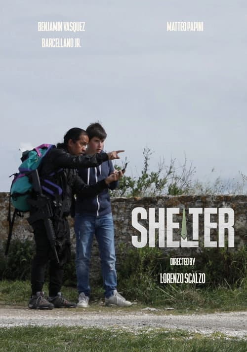 Poster for Shelter