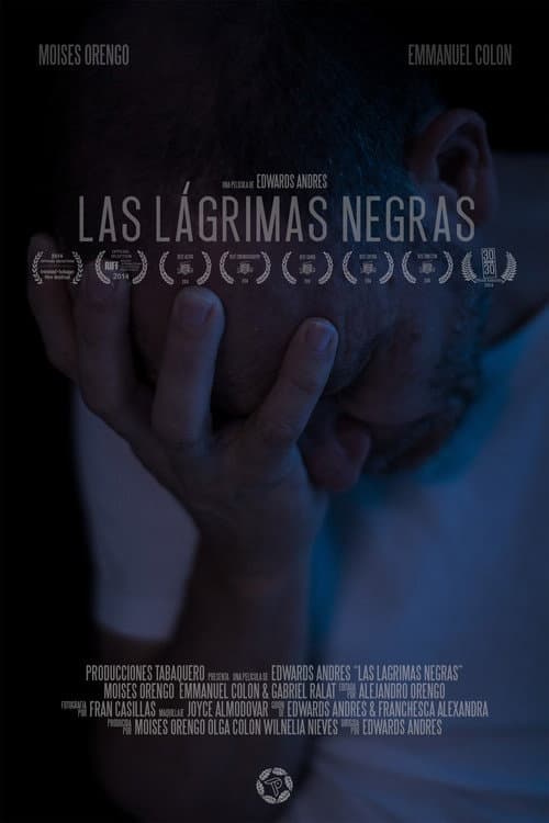 Poster for The Obsidian Tears