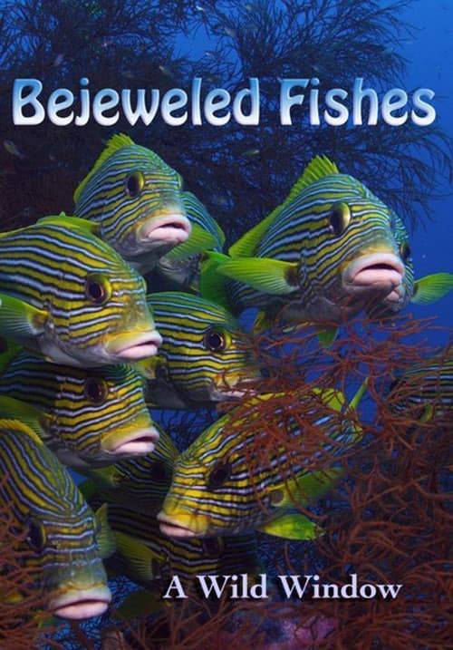 Poster for Wild Window: Bejeweled Fishes