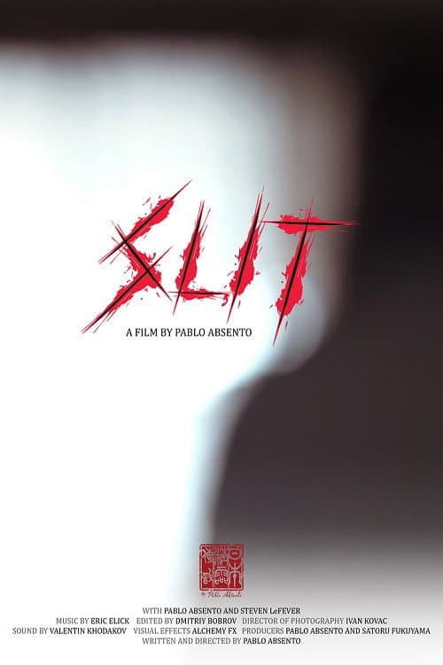 Poster for Slit
