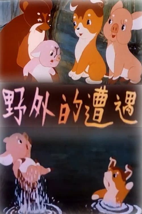 Poster for Wild Encounters