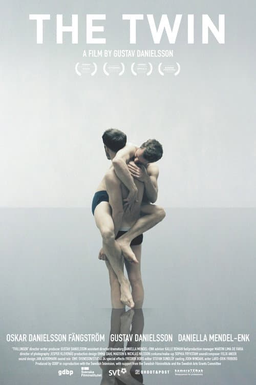 Poster for The Twin