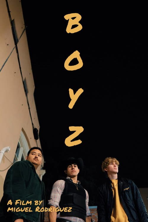 Poster for Boyz