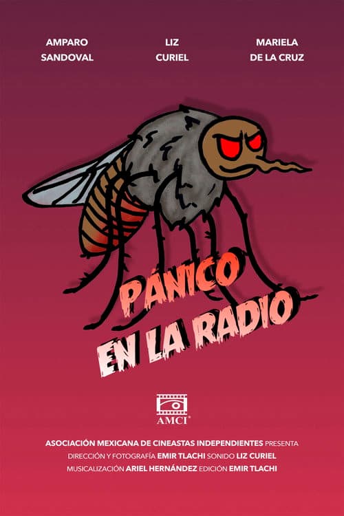 Poster for Panic in the Radio