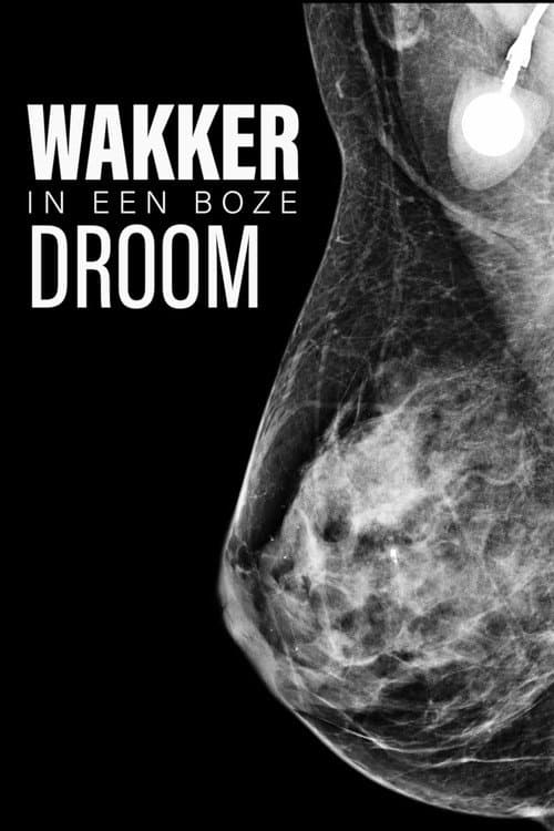 Poster for Awake in a Bad Dream