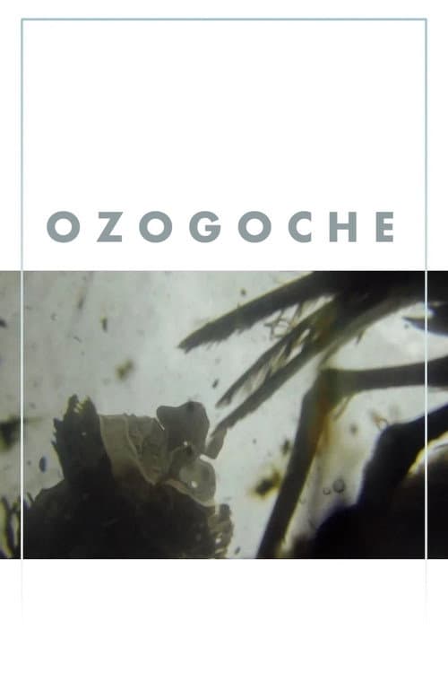 Poster for Ozogoche