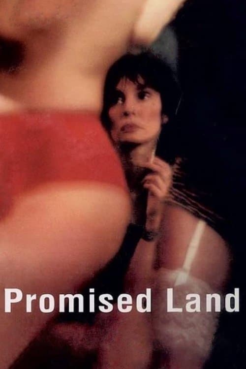 Poster for Promised Land