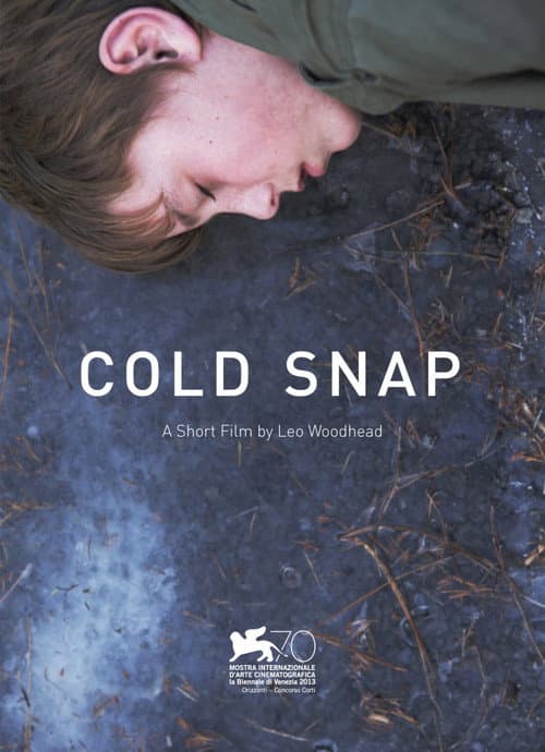 Poster for Cold Snap