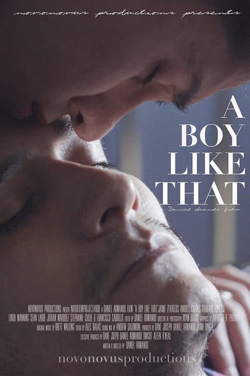 Poster for A Boy Like That