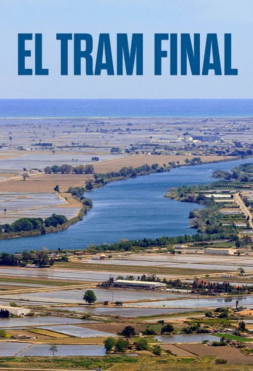 Poster for The Final Stretch