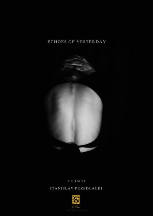 Постер до фільму «Echoes of Yesterday»