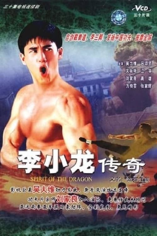 Poster for Story Of Bruce Lee