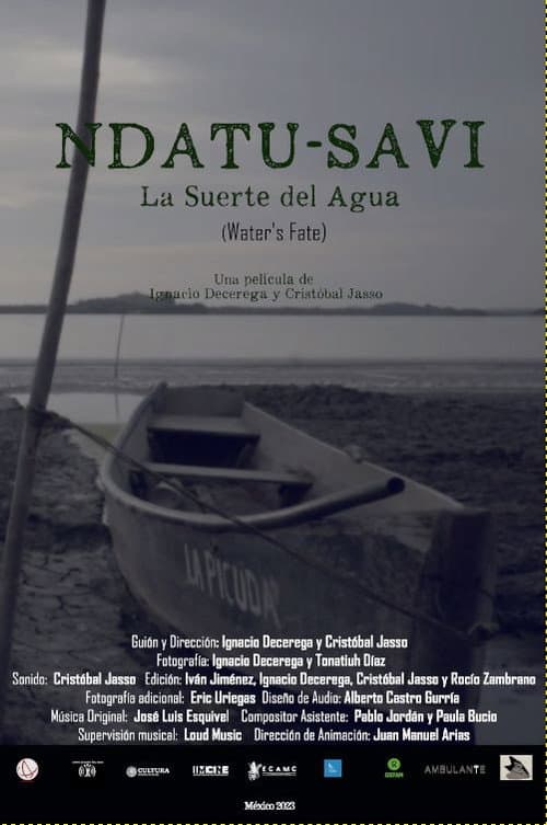 Poster for Water's Fate
