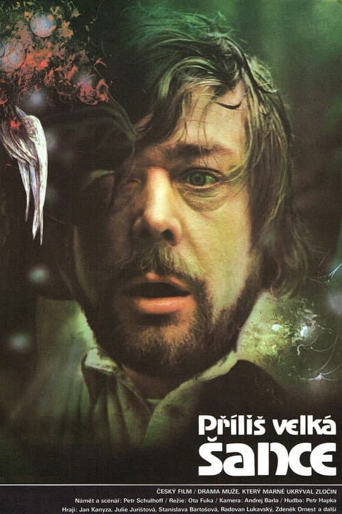 Poster for Příliš velká šance