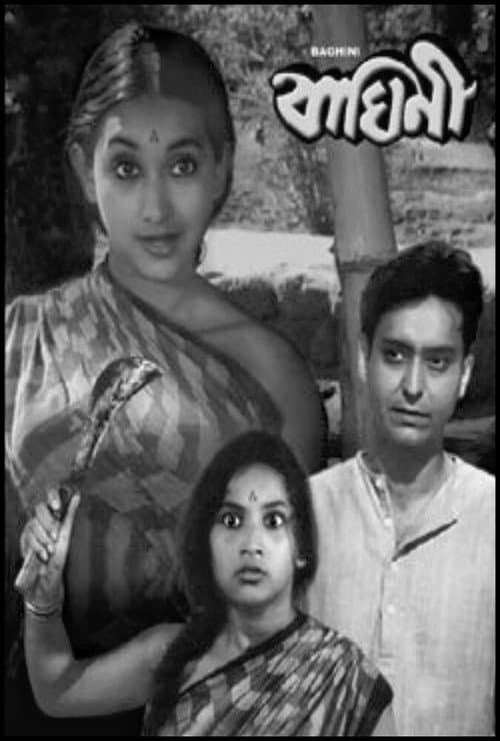 Poster for Baghini