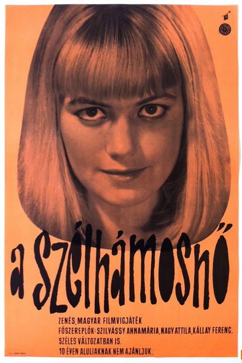 Poster for Miss Windbag