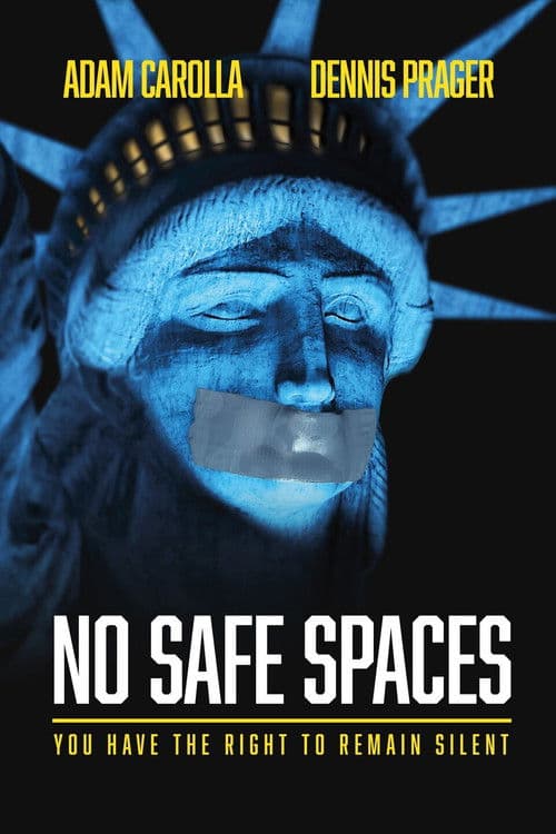 Poster for No Safe Spaces