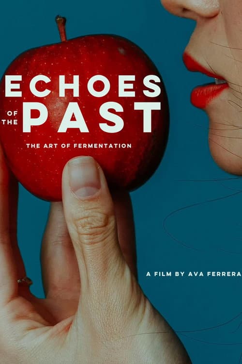 Poster for Echoes of the Past