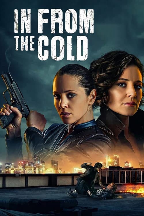 Poster for In From the Cold