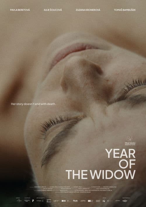 Poster for Year of the Widow