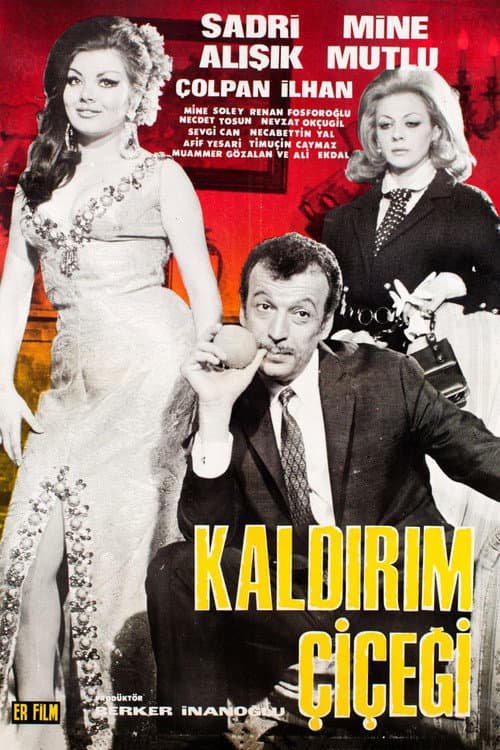 Poster for Kaldırım Çiçeği