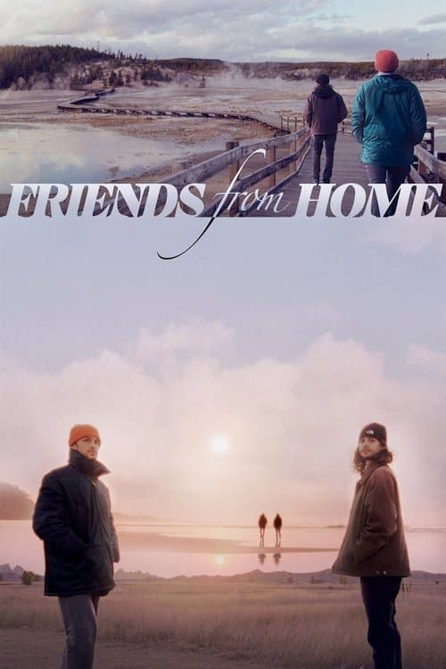 Poster for Friends from Home