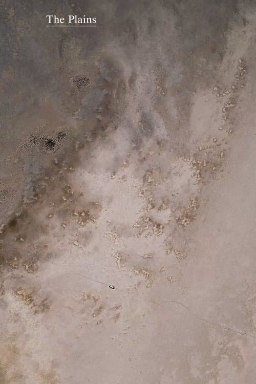 Poster for The Plains