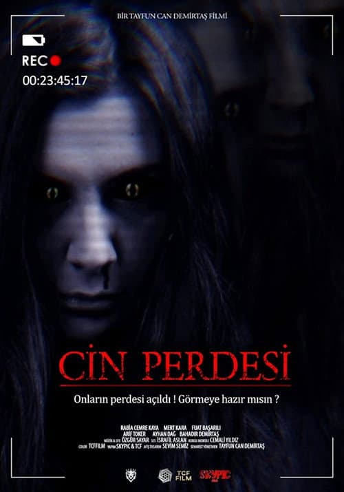 Poster for Cin Perdesi