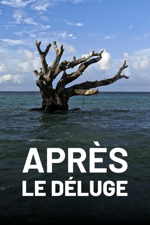 Poster for Après le déluge