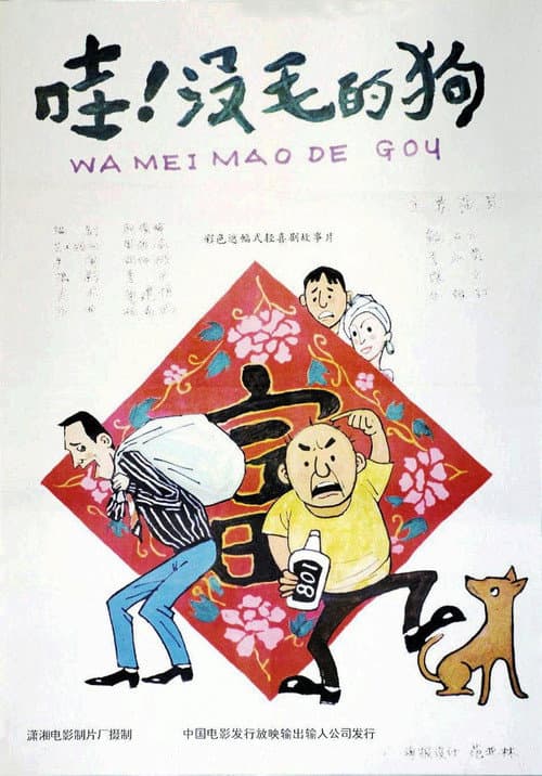 Poster for 哇！没毛的狗