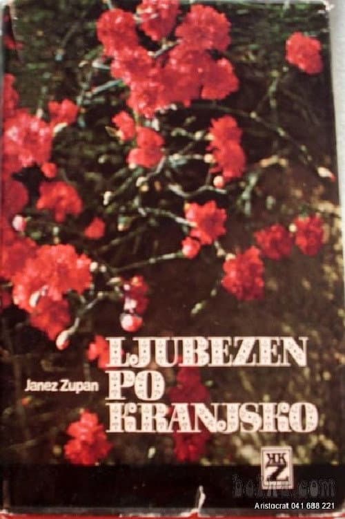 Poster for Love, Kranj Style