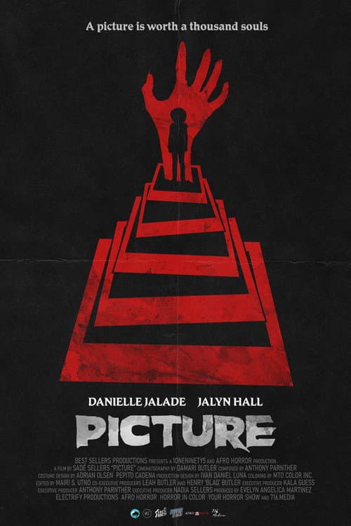 Poster for Picture