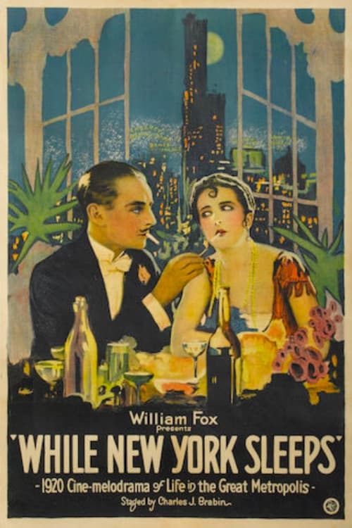 Poster for While New York Sleeps