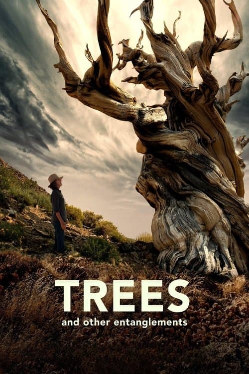 Poster for Trees and Other Entanglements
