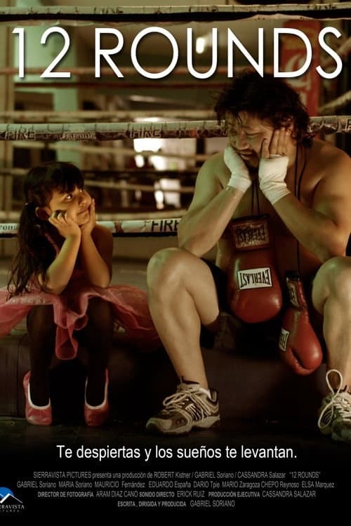 Poster for 12 Rounds