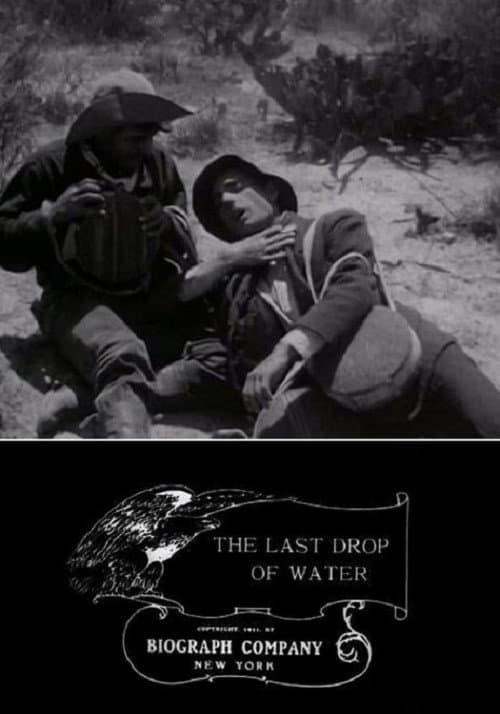 Poster for The Last Drop of Water