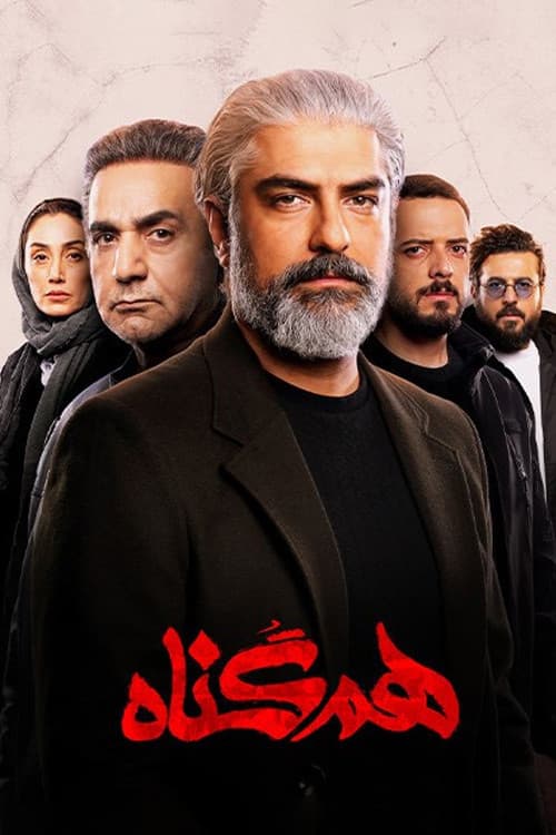 Poster for The Accomplice