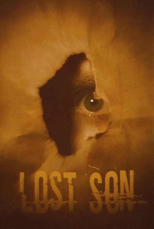 Poster for Lost Son