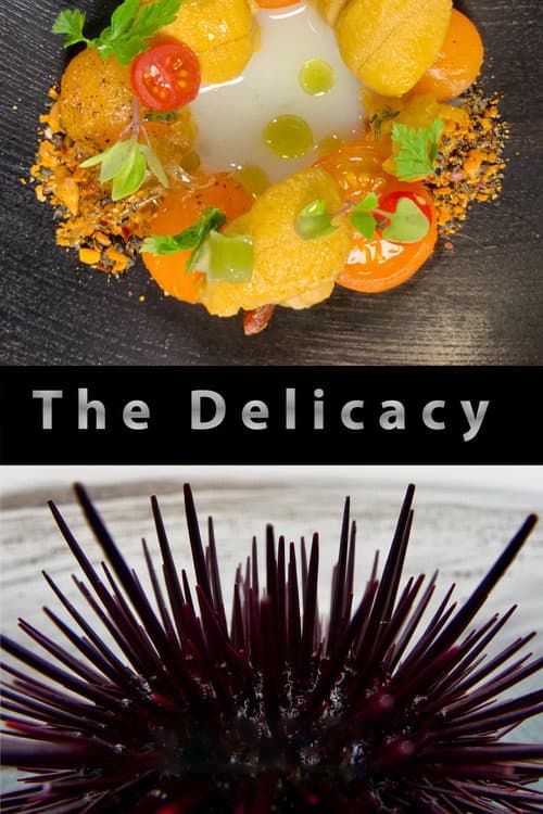 Poster for The Delicacy