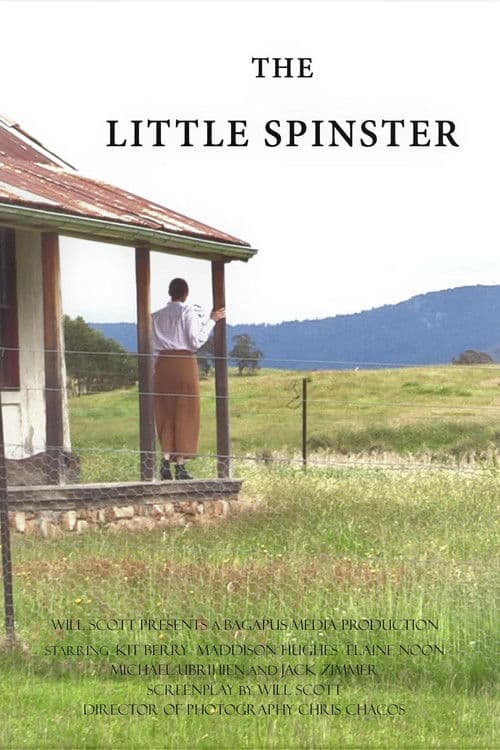 Poster for The Little Spinster