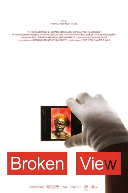 Poster for Broken View