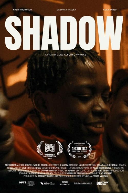 Poster for Shadow