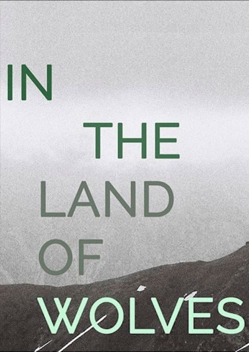 Poster for In the Land of Wolves