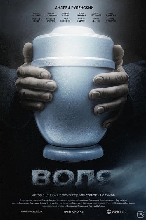 Poster for The Will