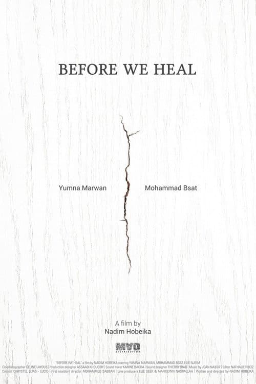 Poster for Before We Heal