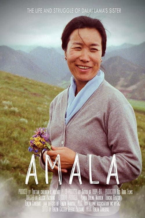 Постер до фільму «Amala»