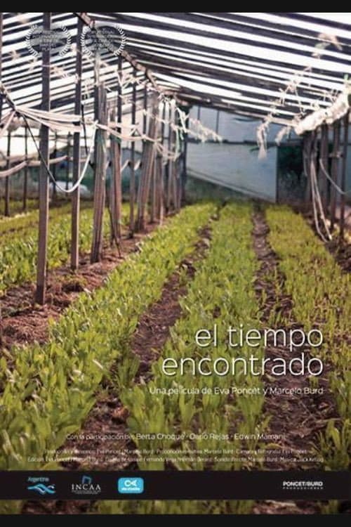 Poster for El tiempo encontrado