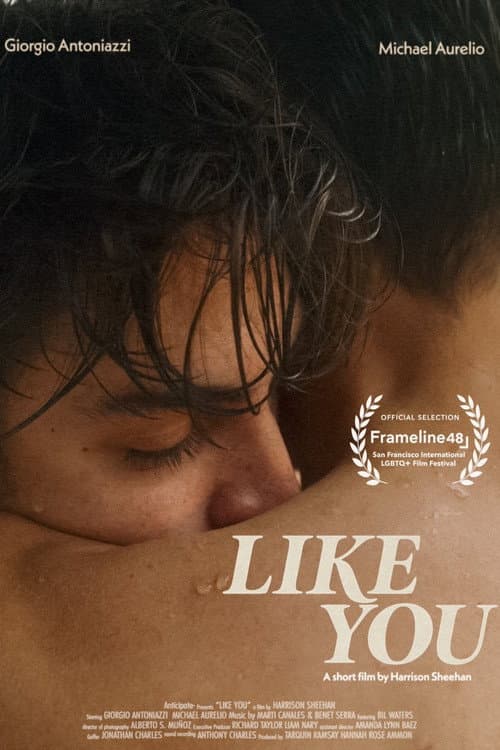 Poster for Like You