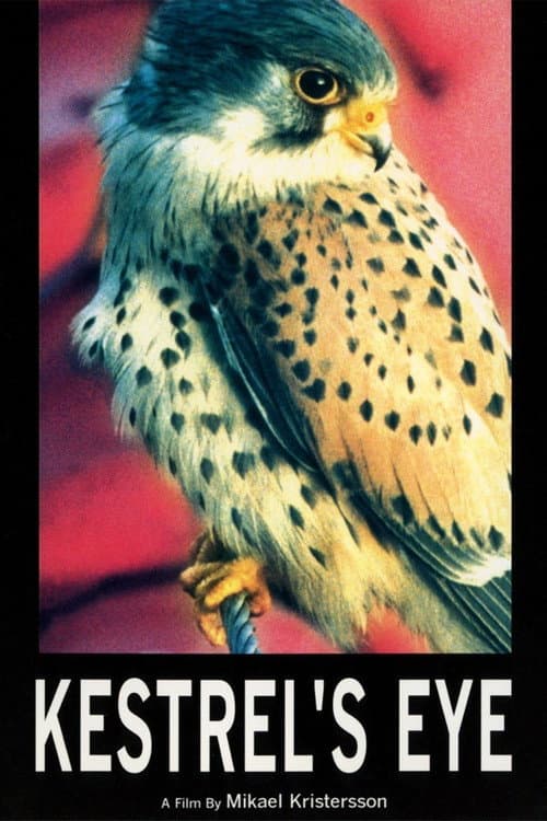Poster for Kestrel's Eye